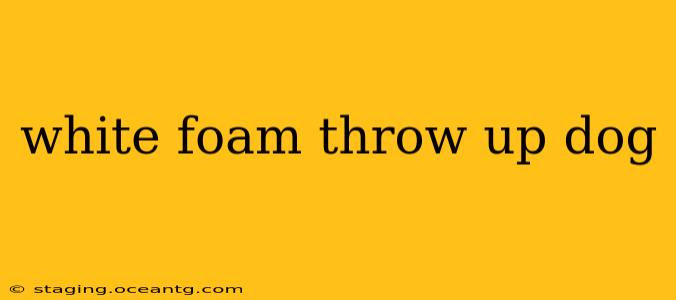 white foam throw up dog