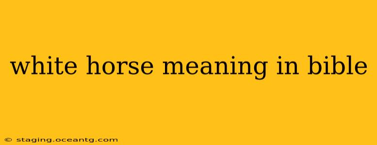 white horse meaning in bible