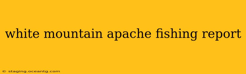 white mountain apache fishing report