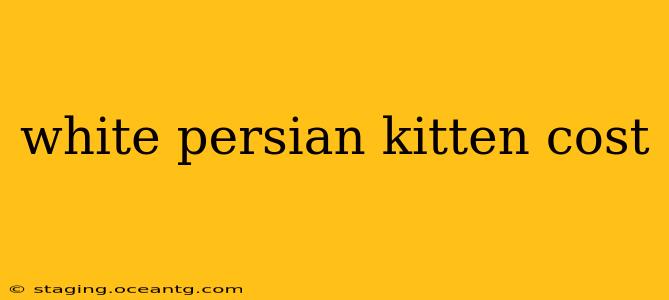 white persian kitten cost