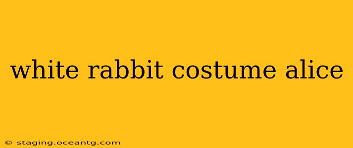 white rabbit costume alice