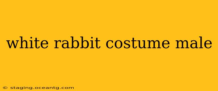 white rabbit costume male