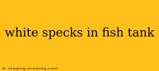 white specks in fish tank