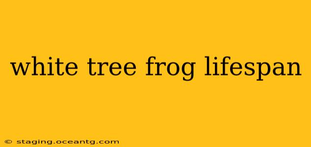 white tree frog lifespan
