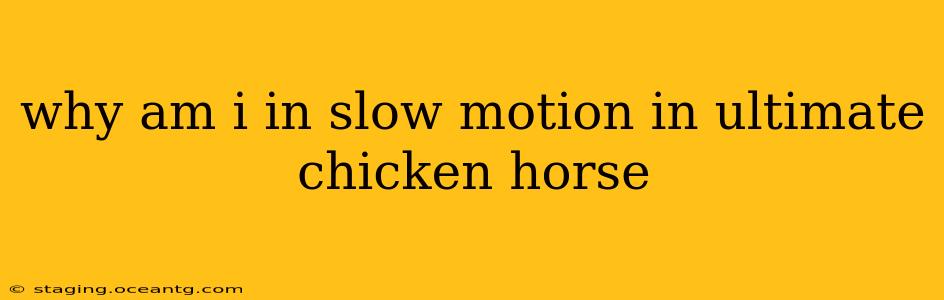 why am i in slow motion in ultimate chicken horse