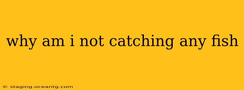 why am i not catching any fish