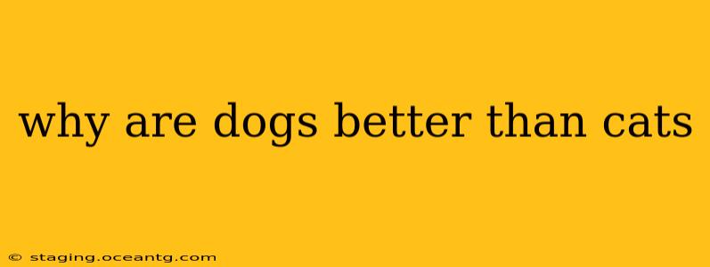 why are dogs better than cats