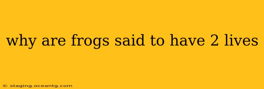 why are frogs said to have 2 lives