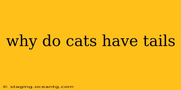 why do cats have tails