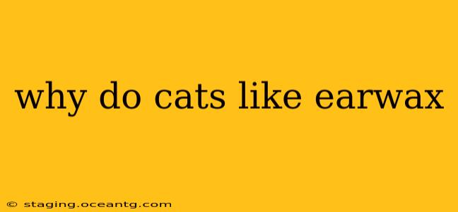 why do cats like earwax