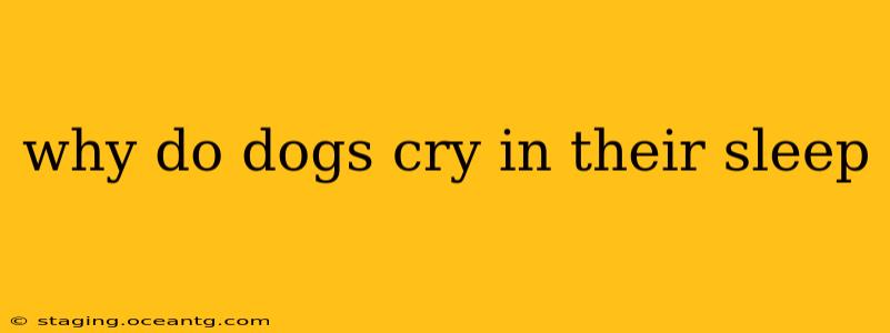 why do dogs cry in their sleep