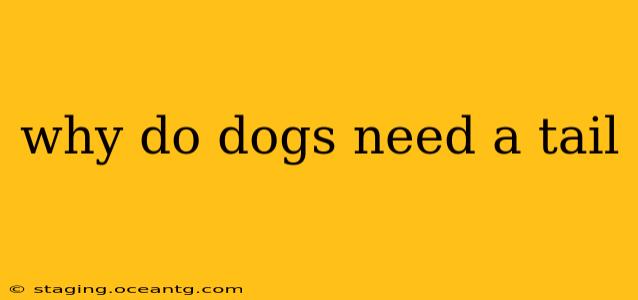 why do dogs need a tail