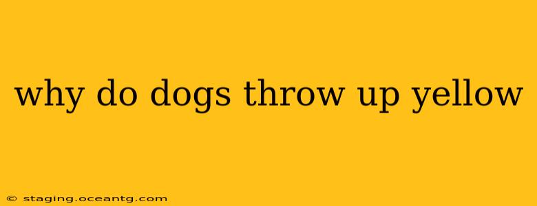 why do dogs throw up yellow
