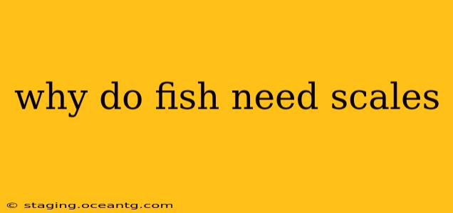 why do fish need scales