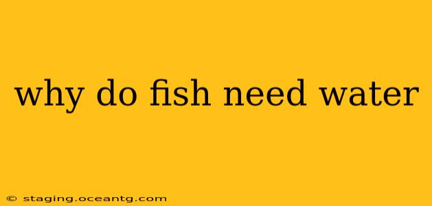 why do fish need water
