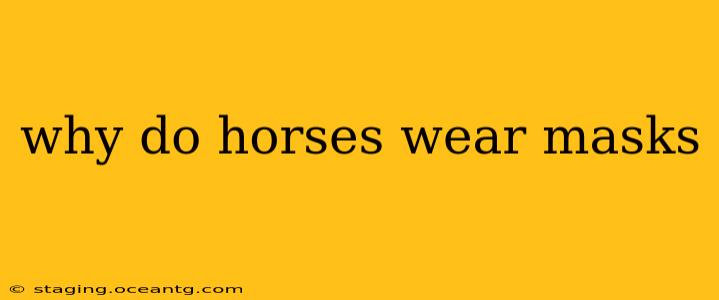 why do horses wear masks