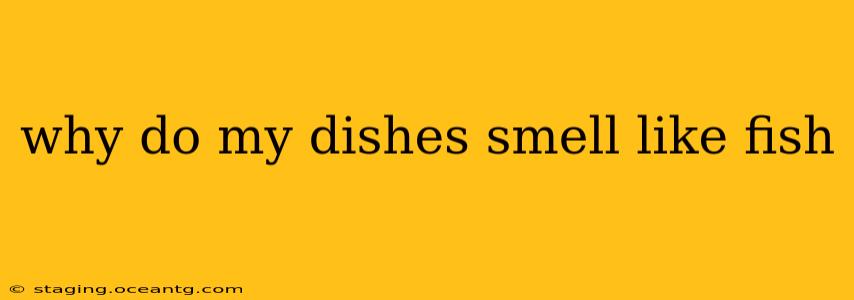 why do my dishes smell like fish
