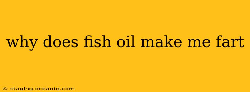why does fish oil make me fart