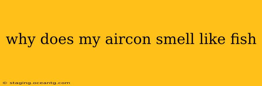 why does my aircon smell like fish