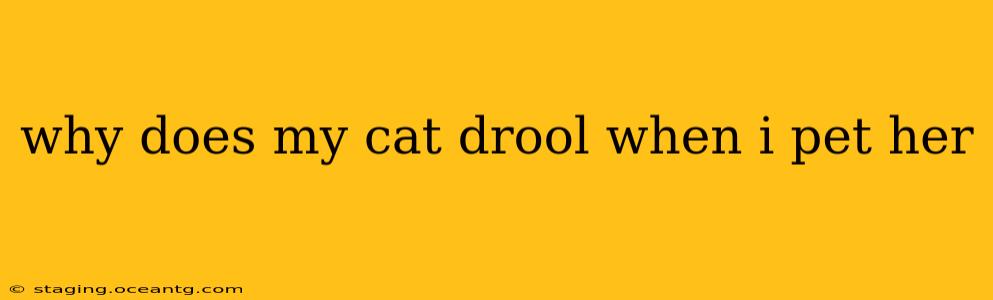 why does my cat drool when i pet her