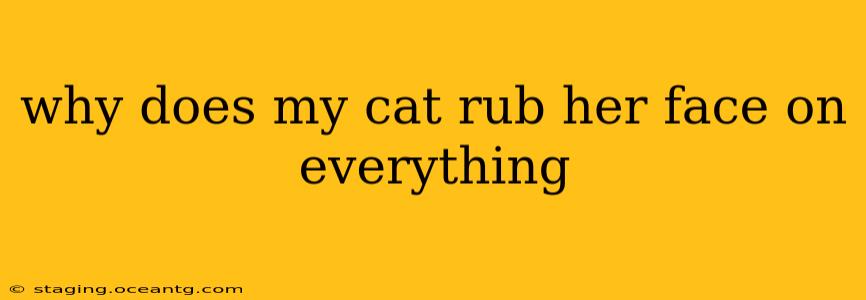 why does my cat rub her face on everything