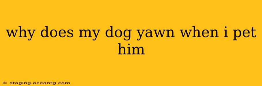why does my dog yawn when i pet him