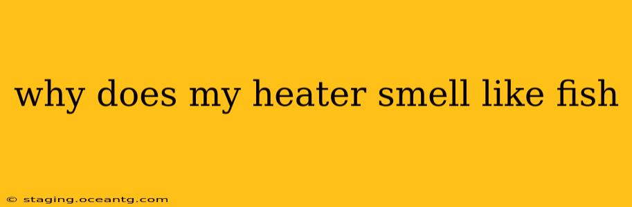 why does my heater smell like fish
