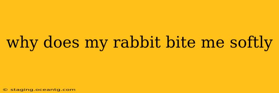 why does my rabbit bite me softly
