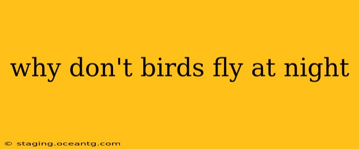 why don't birds fly at night