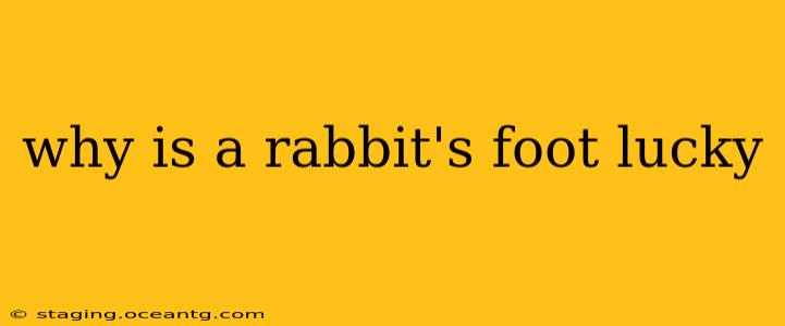why is a rabbit's foot lucky