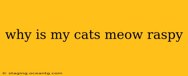 why is my cats meow raspy