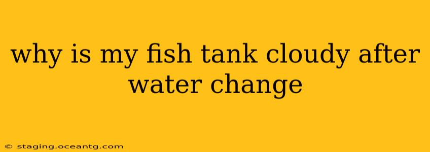 why is my fish tank cloudy after water change