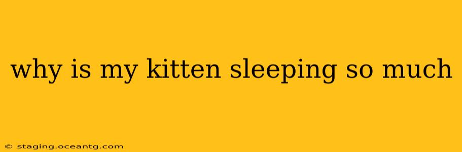 why is my kitten sleeping so much
