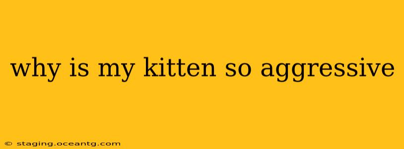 why is my kitten so aggressive