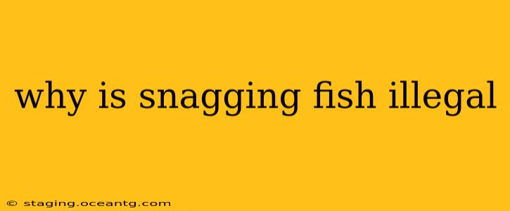 why is snagging fish illegal