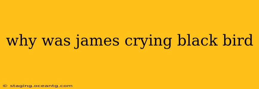 why was james crying black bird
