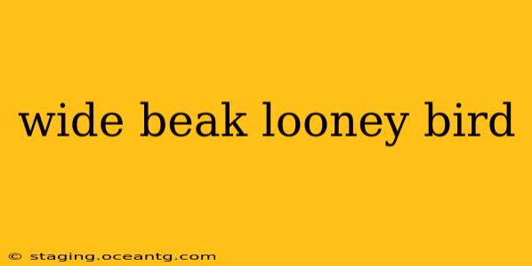 wide beak looney bird