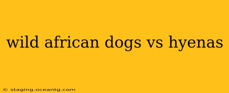 wild african dogs vs hyenas