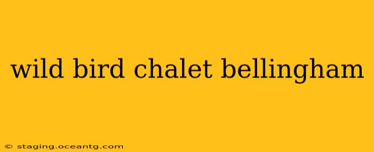 wild bird chalet bellingham