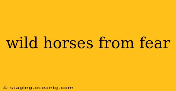 wild horses from fear
