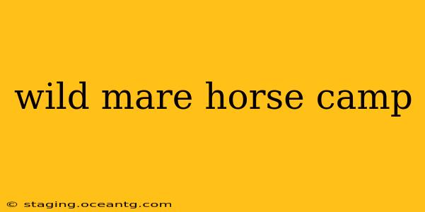 wild mare horse camp