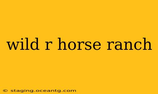 wild r horse ranch