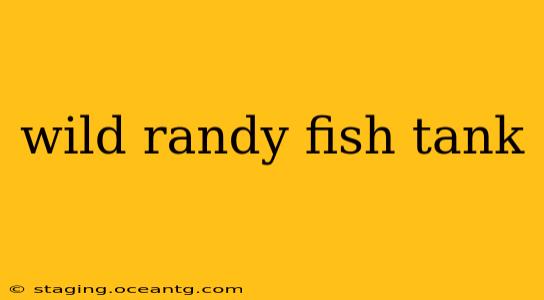 wild randy fish tank