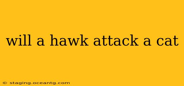 will a hawk attack a cat