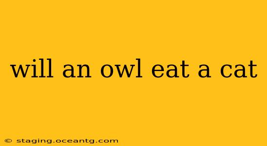 will an owl eat a cat