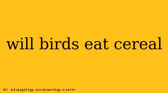 will birds eat cereal