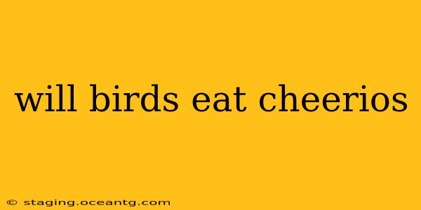will birds eat cheerios