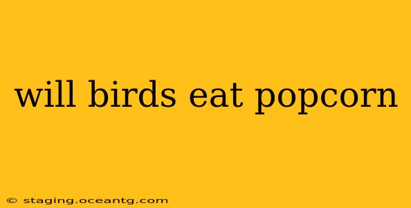 will birds eat popcorn