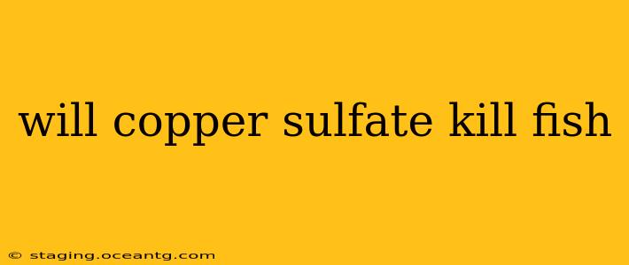 will copper sulfate kill fish