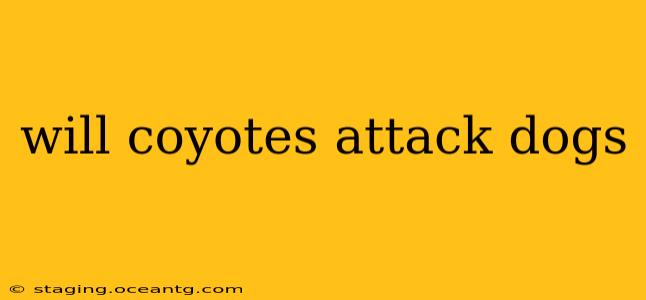 will coyotes attack dogs
